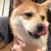 あかね
