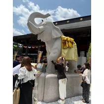 あいら