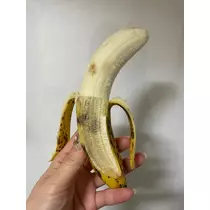 えりか
