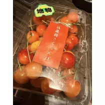 白石 愛莉