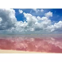 立華 碧