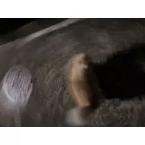 はづき