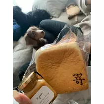 七星 舞冬