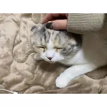 みつき