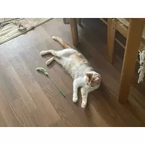 寒河江 春紀