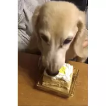 ティナ