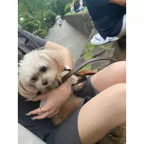 ナナ