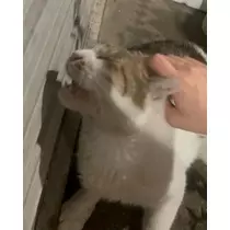 そら
