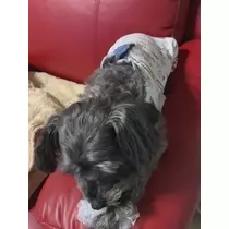 如月 凛