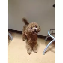 ゆま(20)