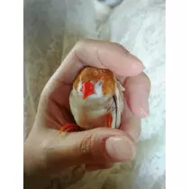 ちよママ