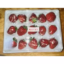 白石 愛莉