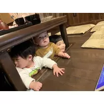 秋葉 夢羅