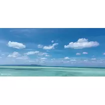 愛羽 仁美