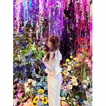 花咲 るり