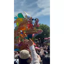 姫花