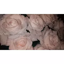 あいり