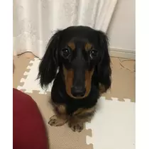 ゆうな