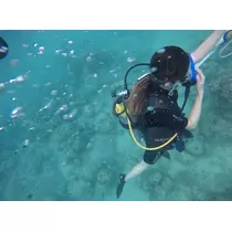 しゅり