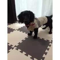 りえ