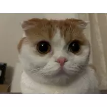 るな