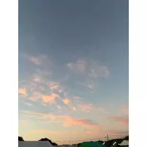 佐野 エマ