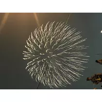 つばさ