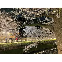 ののか