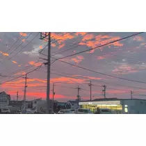 マヤ