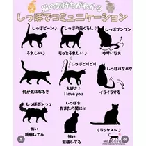 華宮 れい
