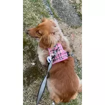 あい