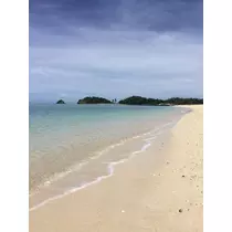 あやの