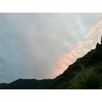 叶恋