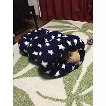 レミ