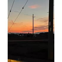 ゆか