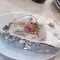 向日葵 ひまり