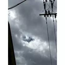 みれい