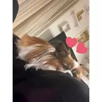 あいら