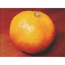 コウ