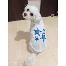 もえ