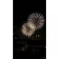 せいか