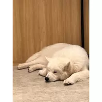 みさ