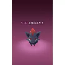 七星 夏純
