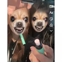 ラヴ