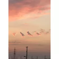 れいにゃ
