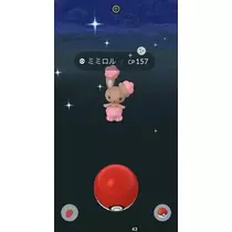 七星 夏純