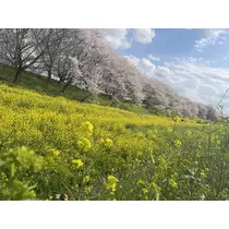 みむ