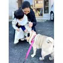 さくら