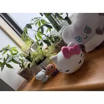 かえで