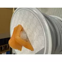 黒崎 茉凛
